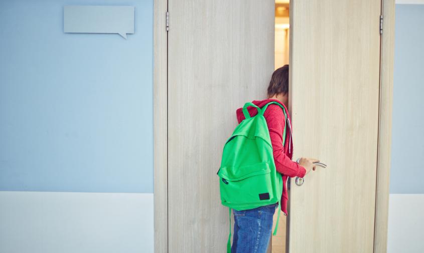 В минобре ответили, усилят ли меры безопасности в амурских школах после нападения подростка в Подмосковье