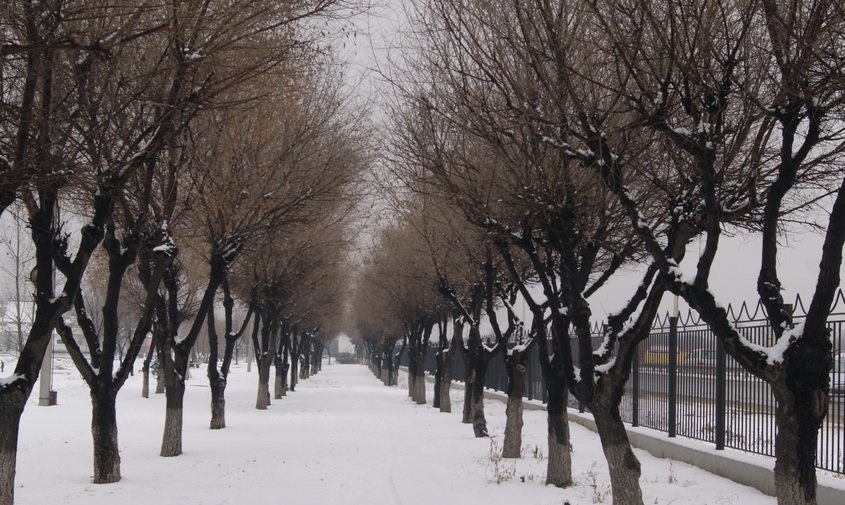 Прогноз погоды в Амурской области на 18 декабря (ПАЗЛ):