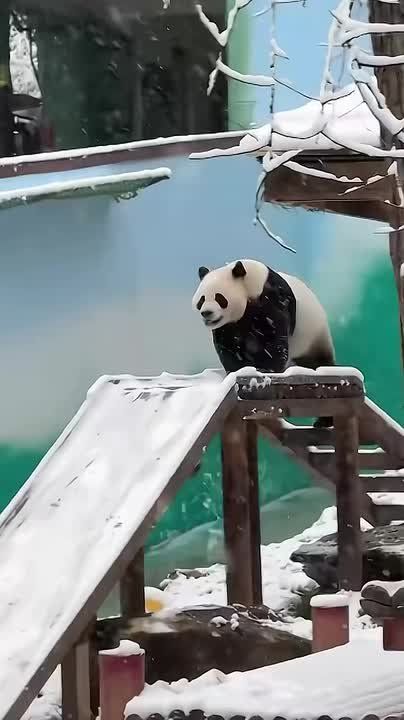 ������ ����!�. � �������� ��������