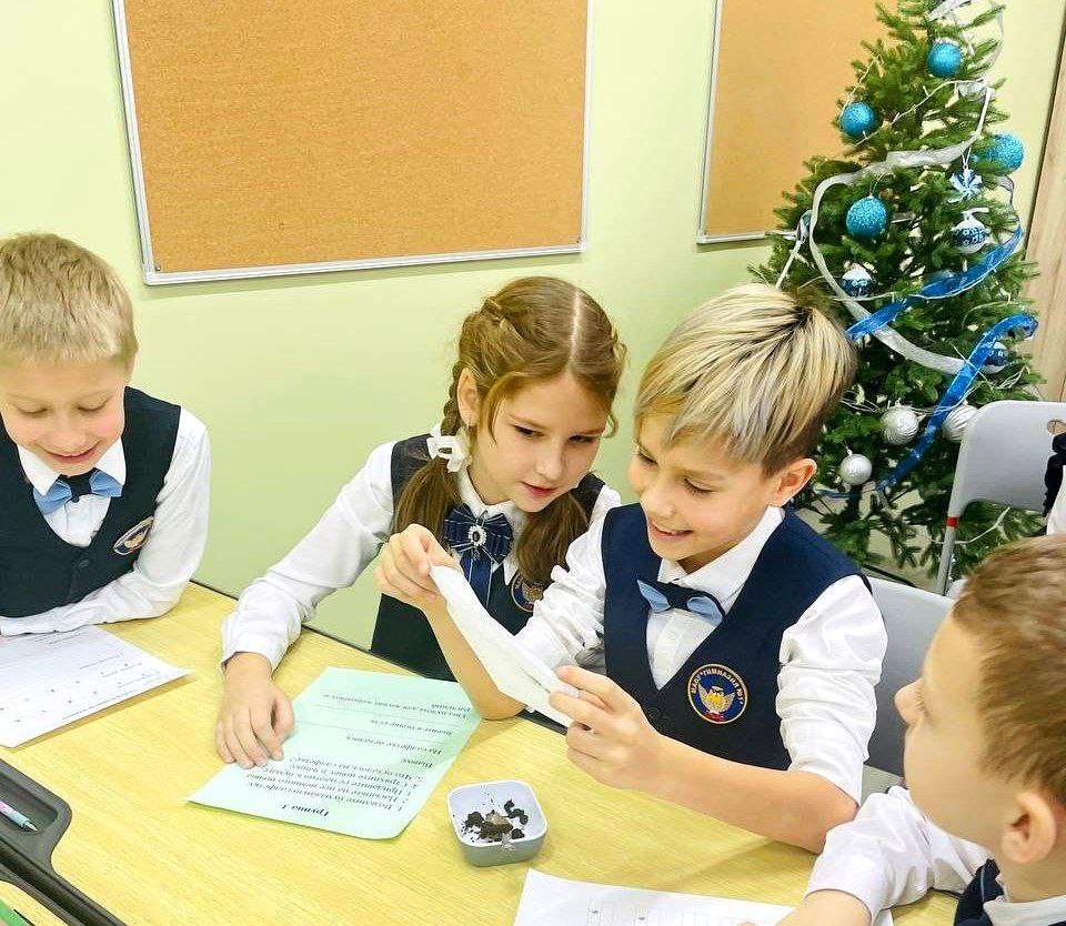 Минобрнауки Приамурья предлагает амурчанам похвастаться новогодним оформлением школ и колледжей