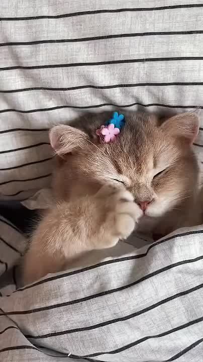 ������ ��������� ����!�