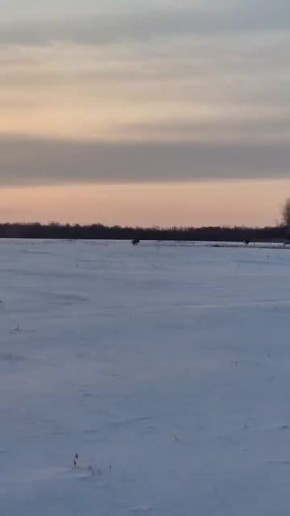 Навстречу выходным!. Начинаем последний рабочий день этой недели с пробежки косуль в Октябрьском округе, которую запечатлели специалисты управления по охране животного мира