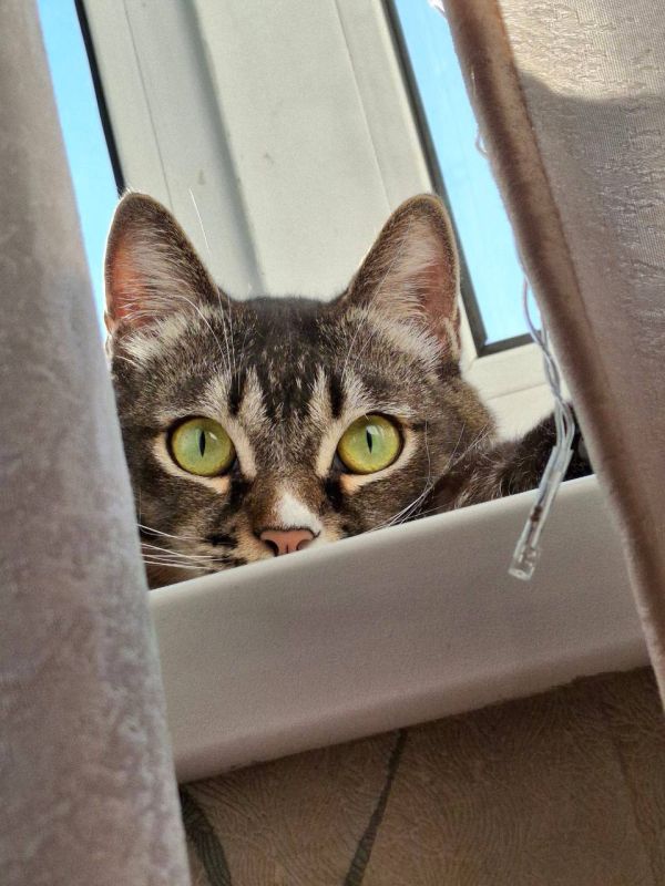 ������� �������: ������� �������!