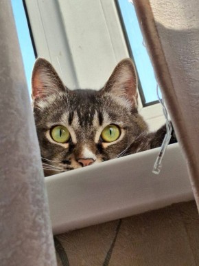 Хорошие новости: сегодня пятница!