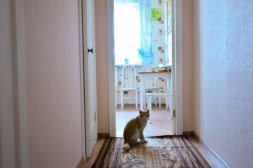 Благовещенск стал первым городом в ДФО с бесплатной арендой квартир для педагогов