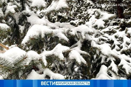 Завтра, 21 декабря, по области без осадков, местами до - 41