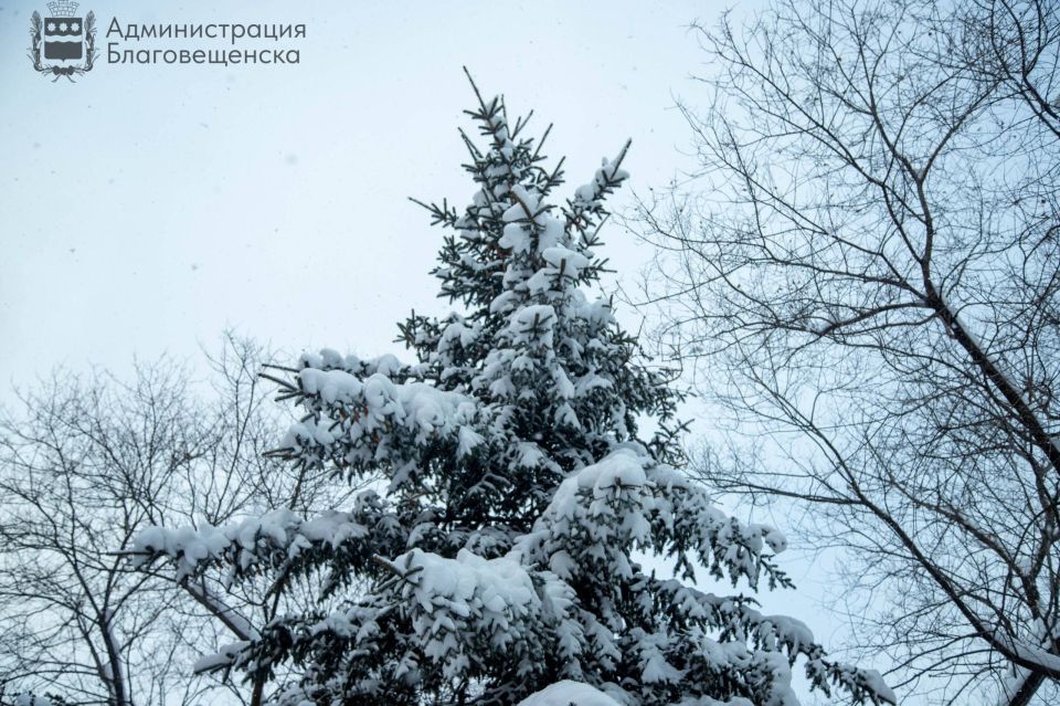 ������� ������ � ������������� �� 20 �������: