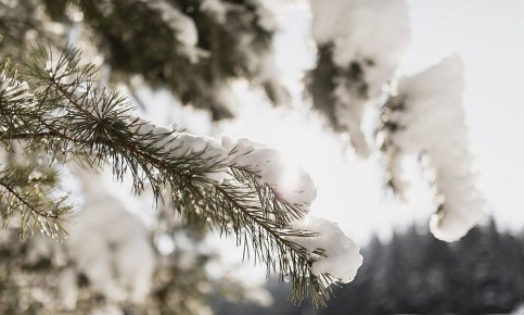 ������� ������ � �������� ������� �� 21 �������