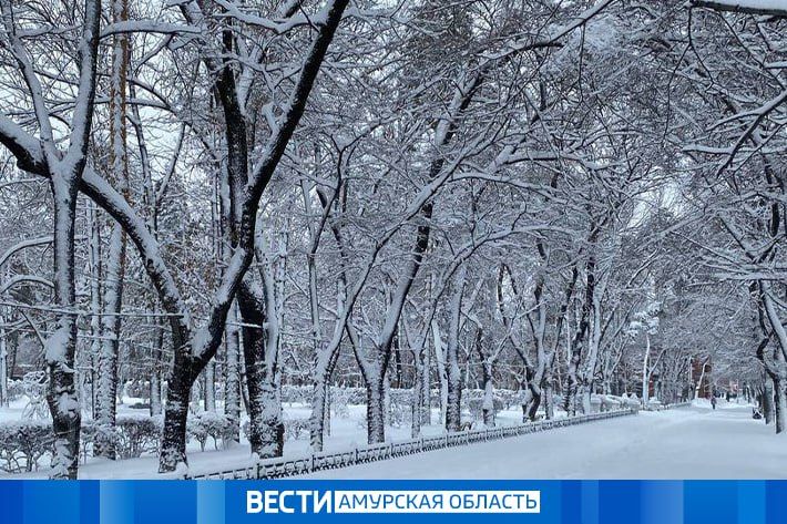 ���������� ������ �� -41 �� ������� ���������