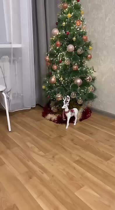 ������ � ����. �������� ��� �� ��������� @ampravda