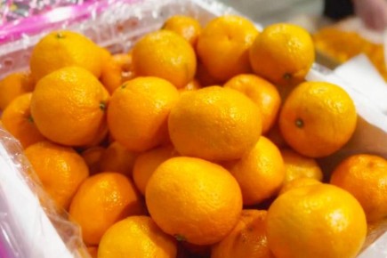 � ���������� ������ ���� ����� �������� ������ �������� � �������� �������