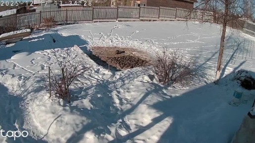 ��������� ����������: � ��������� ������� ���������� ���������� ���� � �������