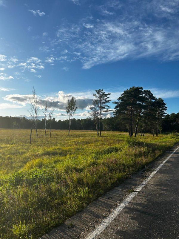 � ��������� 1873 ����������� ����� �������� ��������� ������� � �����������