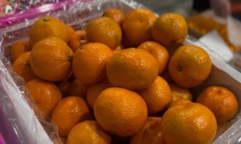 ������ ����� ����� �������� ���������� � ���������� �� ����� � ��������� ������� � ����