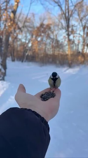 ����� ����� �� ������������� ����� �� ������ ����������