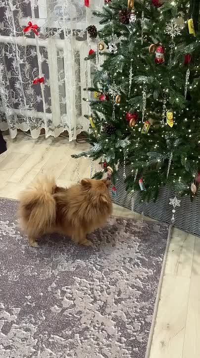 ������ ����!�. �������� ���� ������ ������