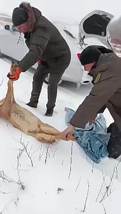 ��������� �� ������ ������������� ����� ������ ������ ���������� �����������