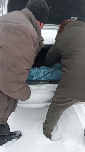 � ������������ ����� ������ ������� ������