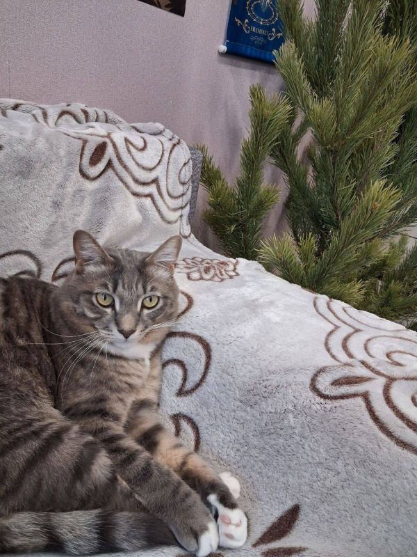 ��������� ����� ��� ���?�. �������� ��� �� ��������� @ampravda