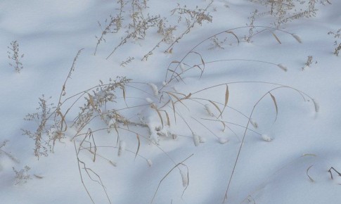 �������� ������ � �������� ������� �� 23 �������.������ �������� 30-��������� ������ (����):