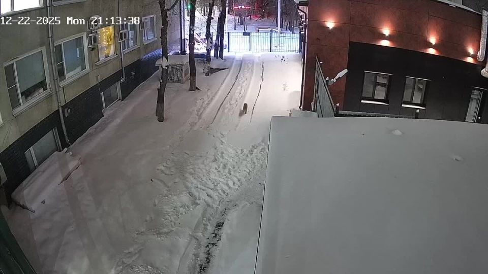 �� ������ ��������� ������� �������� ��� ���� ����