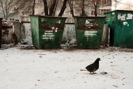 �� ���������� ���������� � �������� ������� ������ �������� �� ������� ������