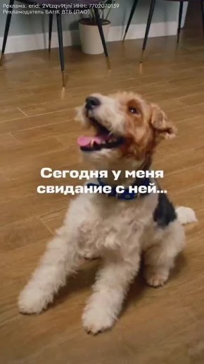 ������ ����������� � �������� � �� ���������, � �����