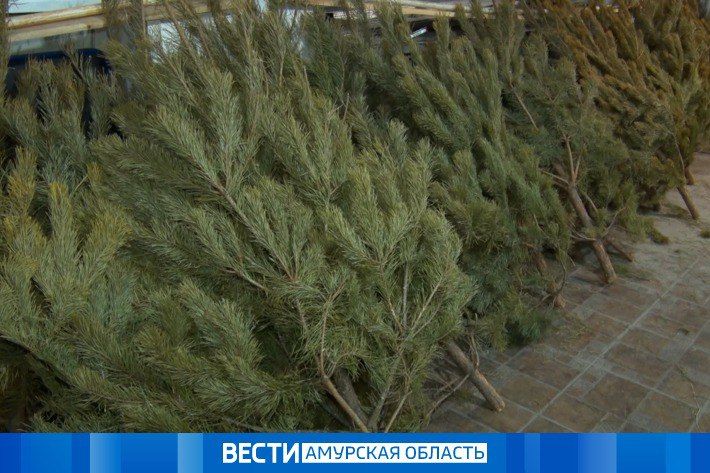 �� ���� ������ ����� �� ����� �����: ���������� ����� ������ ����������