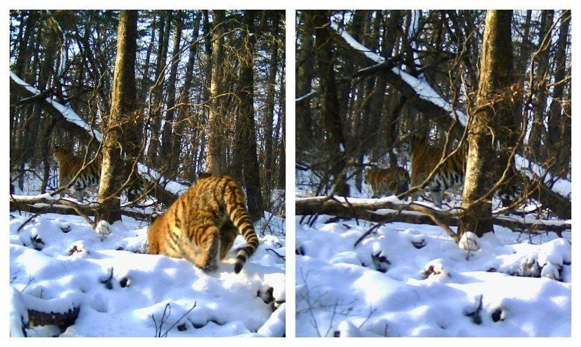 ��������� ����!�: � �������� ������ �������� �����-�������� ������� � ���� ����