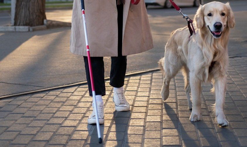 ��������� � ������������� ������ ���������� ���� ��� �����-����������� �� ���� �����������