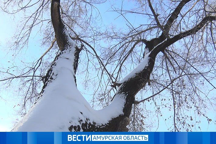 �� �43 ��: ����� ������ ��� �������� ������� 26 �������