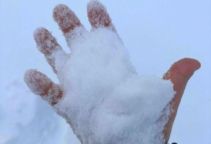 �������� ��� ����������� ����������� ���������� �������� ��������� ���������