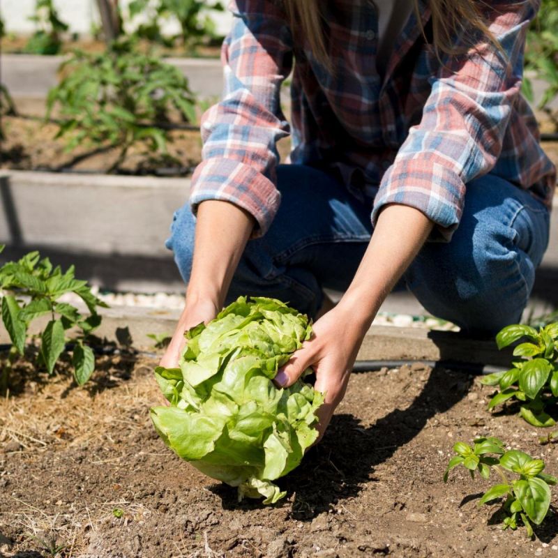 �������: ����� ���������� ����� � ������� ������