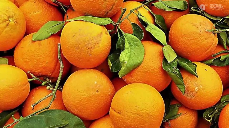 ����� ����� � ����� ������ ��������� ����� ����������? ��������, �������!