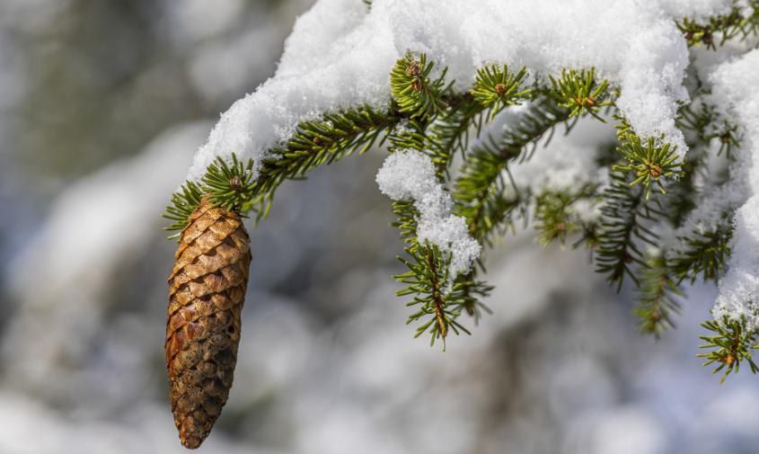 �������������� ����: ������ 2 ���� ����� ������� ����� ���������� �� ��� � ���������