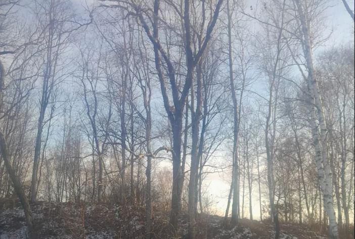 ���� ��� ������ ��������������: � ���� ������������ ������ ������� ���������� ����