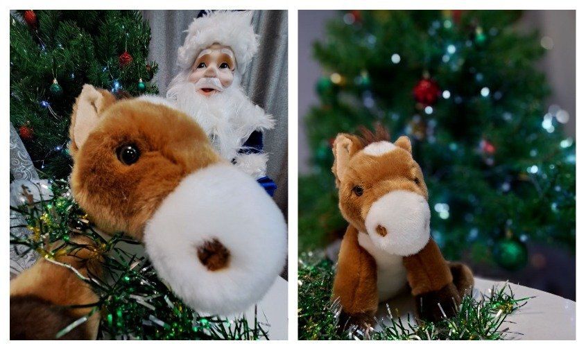 �������� ����: ������������� ������ ������ ������� ��� ��� ������ ��������� ��������� ������