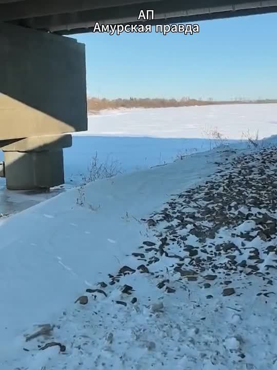 ������ ����� ������� �������� �������� �� ������ ������� ��������� ������� ���������� � ���� �������