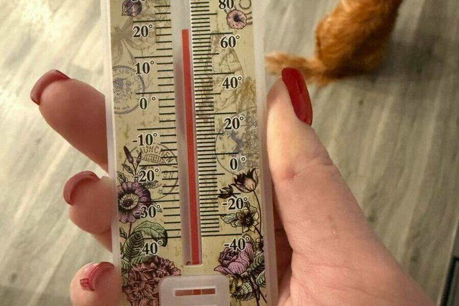 �������� � ��������� ��� ������: ������ ������ ������� ������������� �������� �� �������� �������