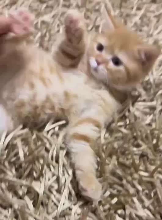 ������ ����!�. � �� ���� ���?