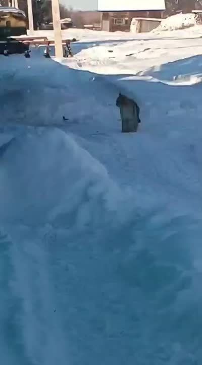 ��������� ���� ������ � ����� � �����, �� ���� ��� � ����������� ������