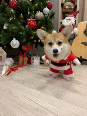 ����� � ��� �������������� ����������? ��� �� ������ ���� ��� ��� �� �����?