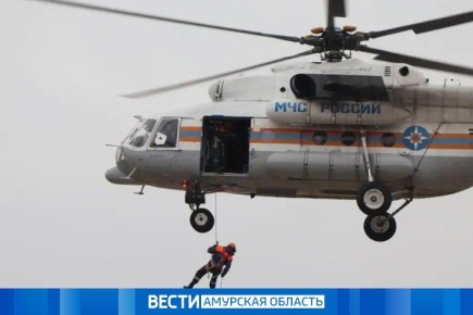 ����� ���������: ���������� ������� ����� ��������� ���������� � ����������