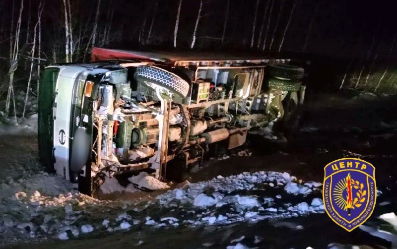 Замерзающего водителя грузовика и его корги спасли ночью на амурской трассе