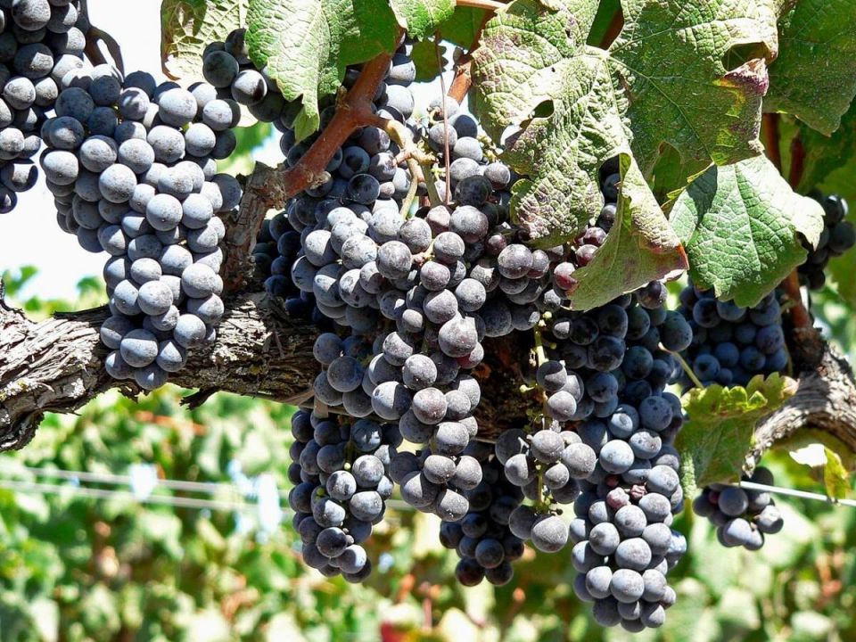 ������ � ����� ����� � ��������� �������������