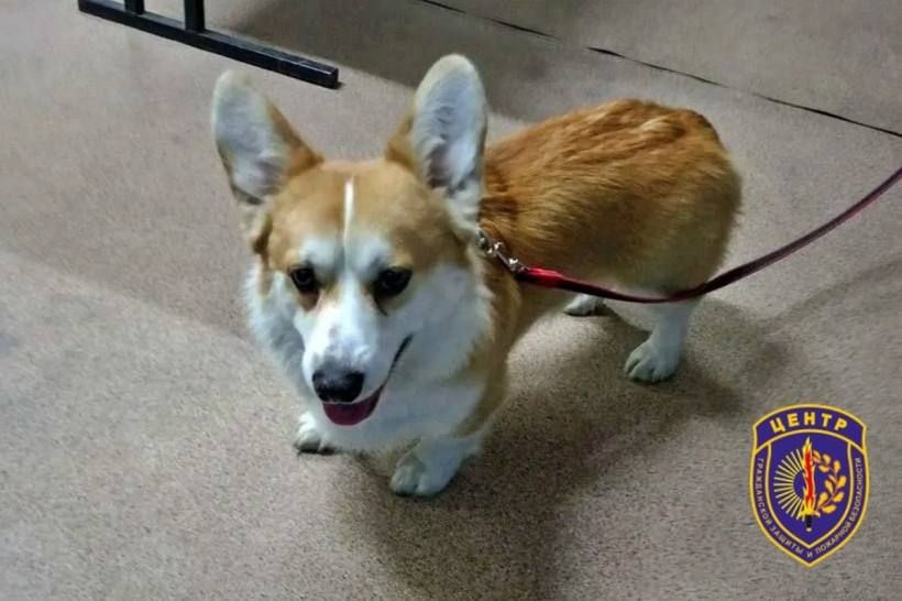 ��������� �������� �� ������ � ������������� ������ �������� ������ � ��������� � �����