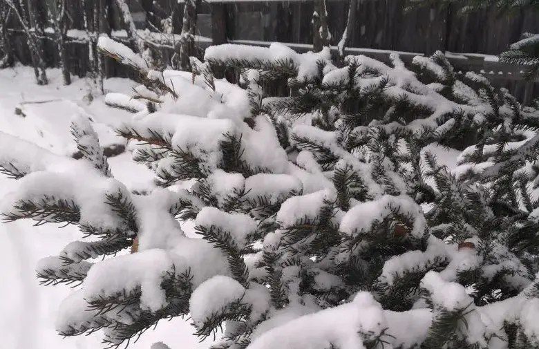 �������� ������ � �������� ������� �� 30 �������