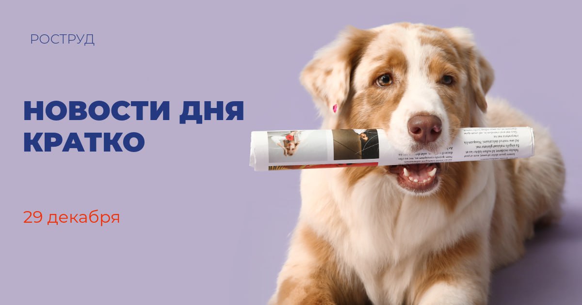 В 2025 году более 12 млн россиян прошли оценку репродуктивного здоровья