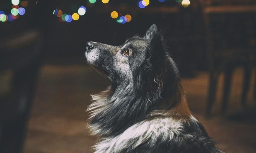 ����������� � ������� �� �����: ��������� ���������, ��� ������ ��� �������� �������� ���������� ����