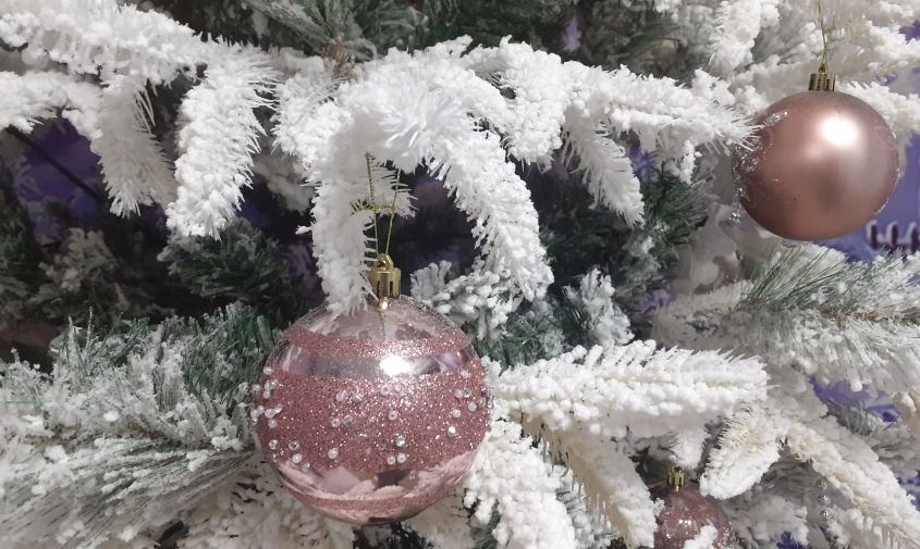 �������� ������ � �������� ������� �� 31 �������